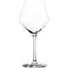 Revolution wine glass