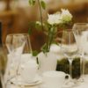 Revolution White Wine Glass