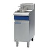 Blue Seal Gas Fryer